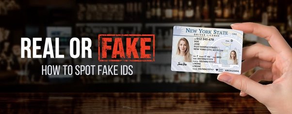 best fake id website